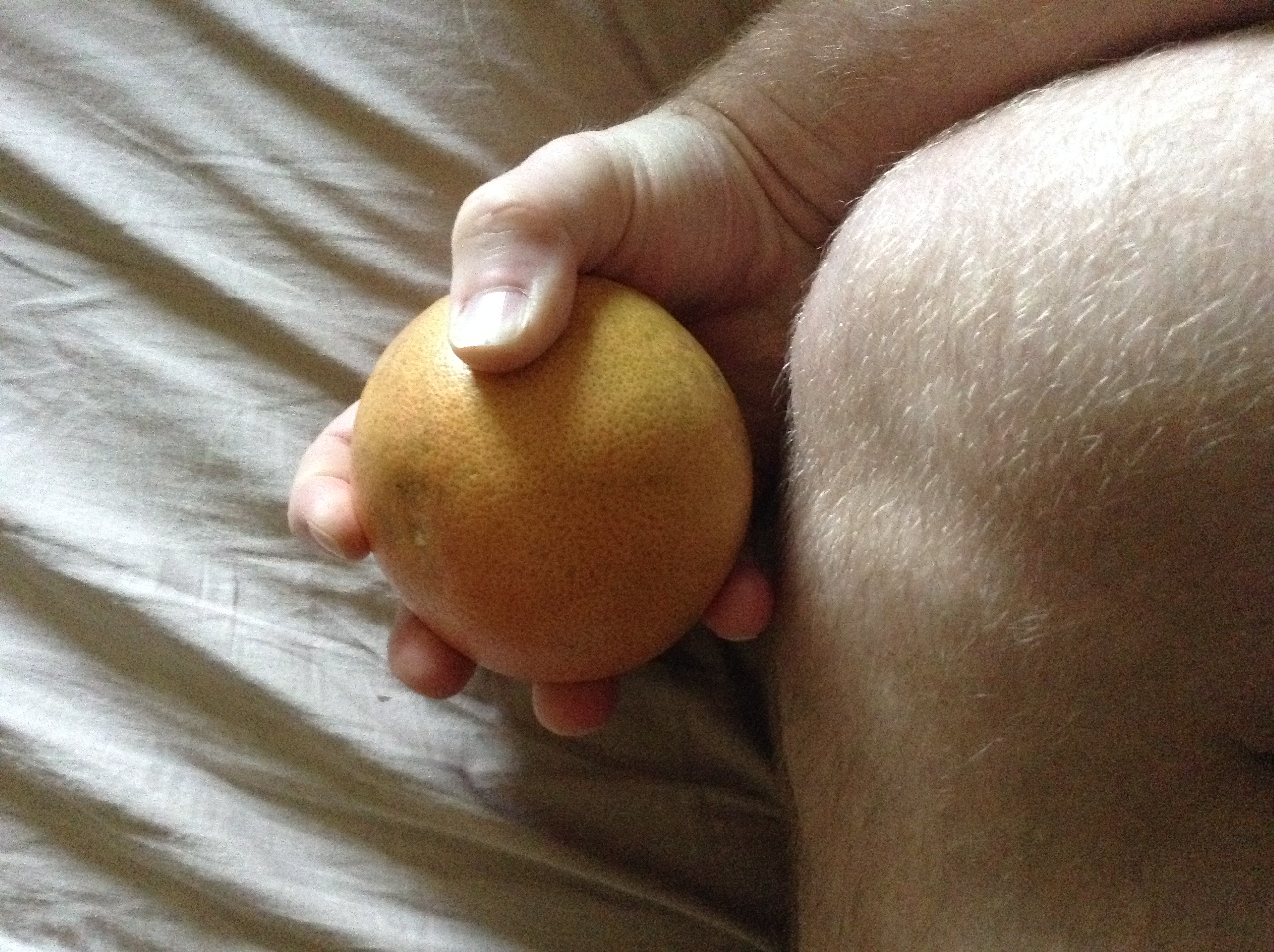 image.jpeg
