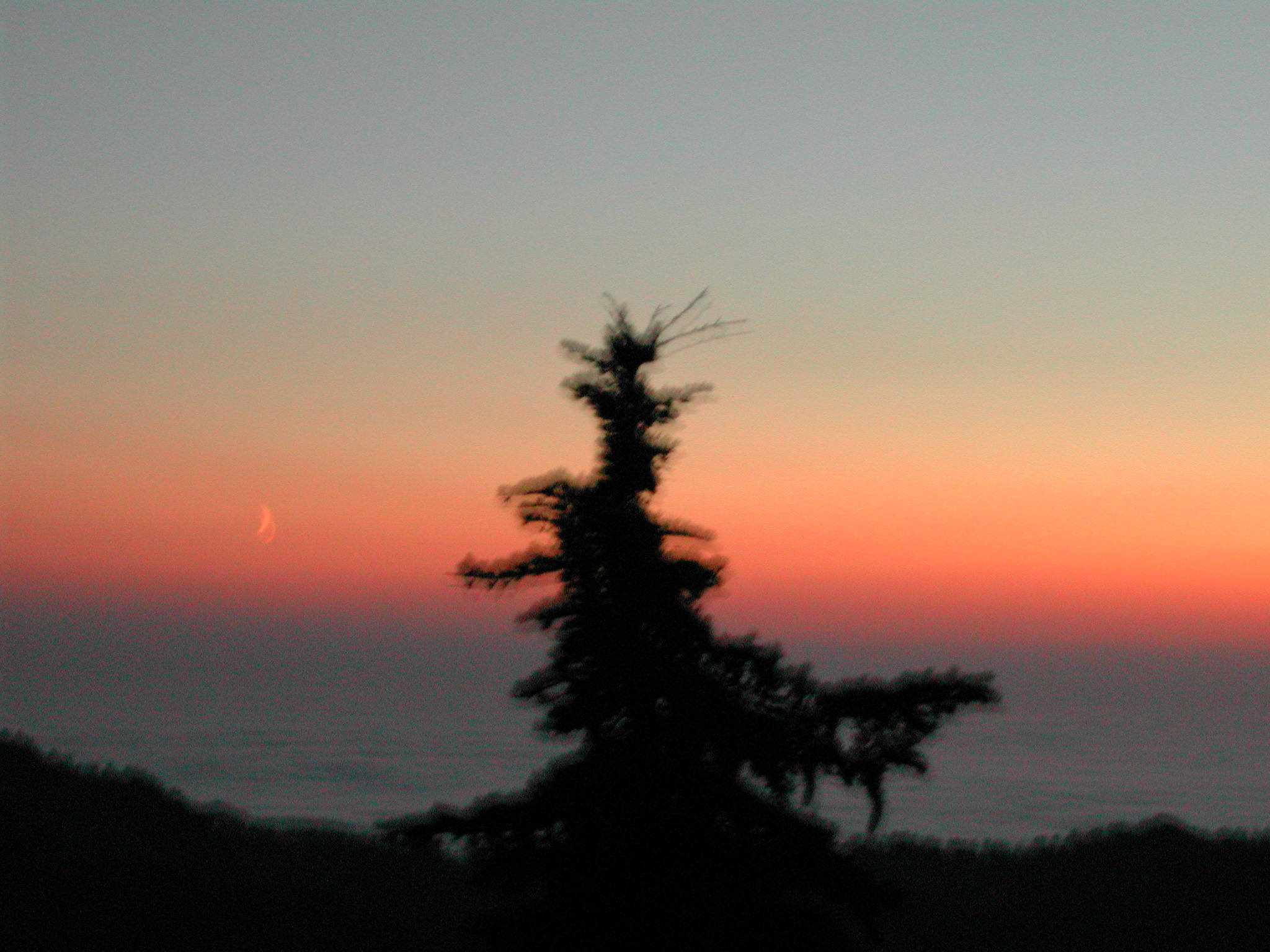 DSCN2852.JPG